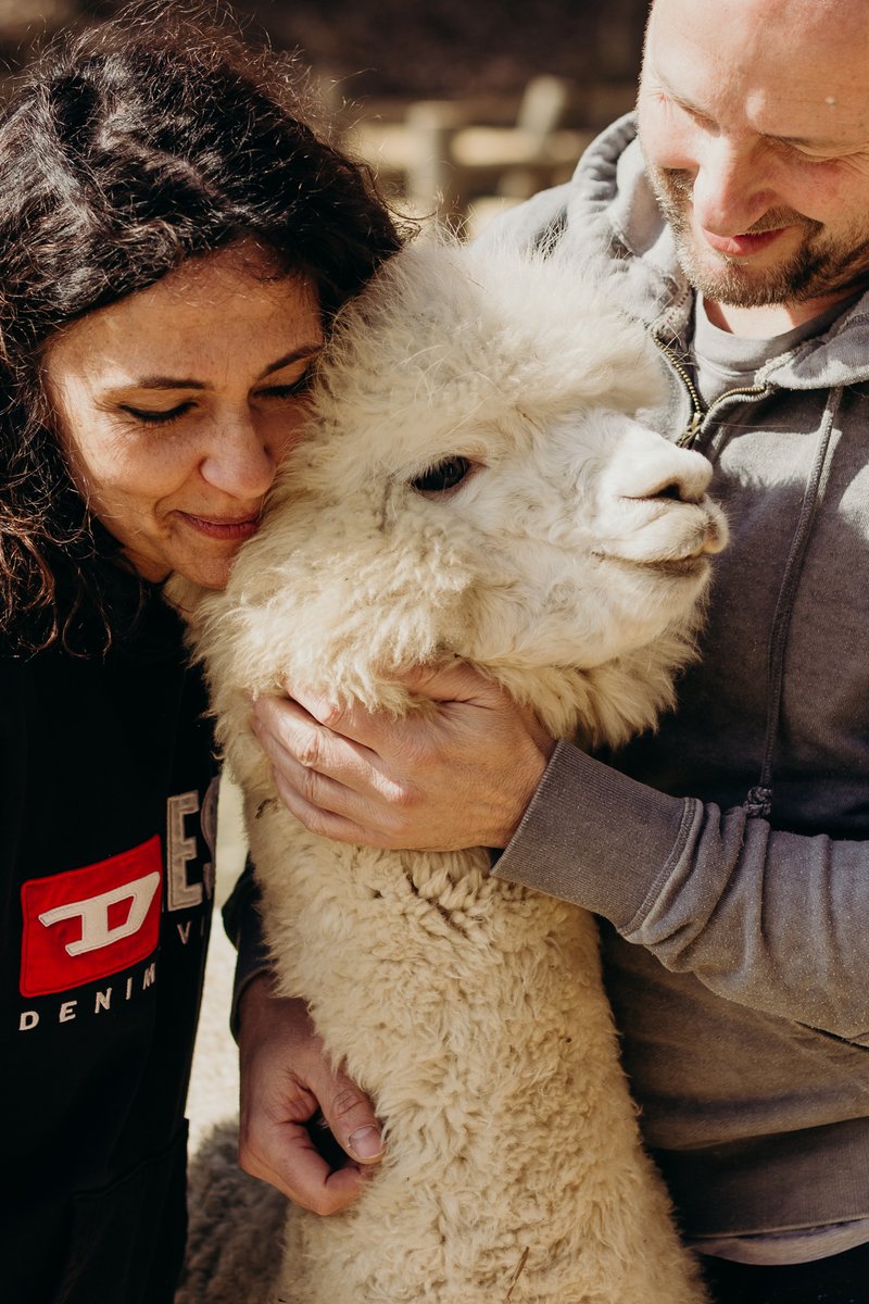 Alpaca Madre Terra - foto 17
